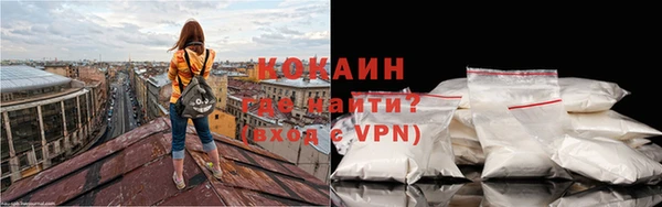 дурь Бронницы