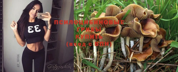 дурь Бронницы