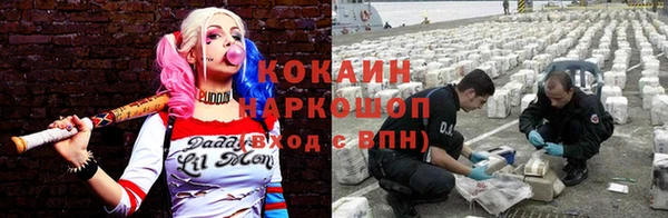 дурь Бронницы