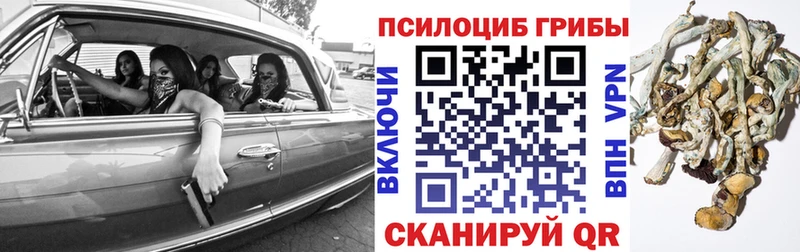 что такое   Яровое  Галлюциногенные грибы прущие грибы 